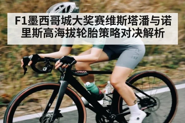 F1墨西哥城大奖赛维斯塔潘与诺里斯高海拔轮胎策略对决解析